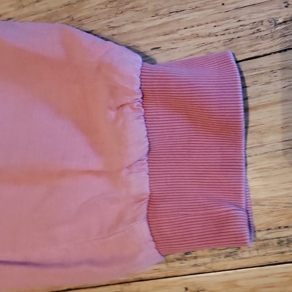 Splendid Pink Jogger Pants - Picture 2 of 8